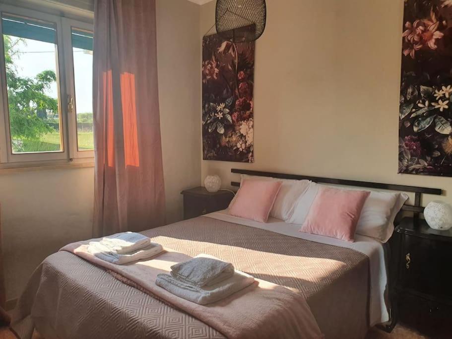 Molo - Residenza Con Accesso Diretto Al Lago Lazise Zewnętrze zdjęcie
